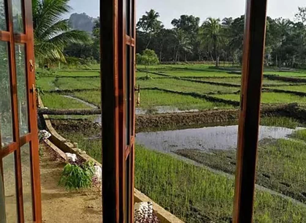 undefined Nelu Villa Sigiriya 4