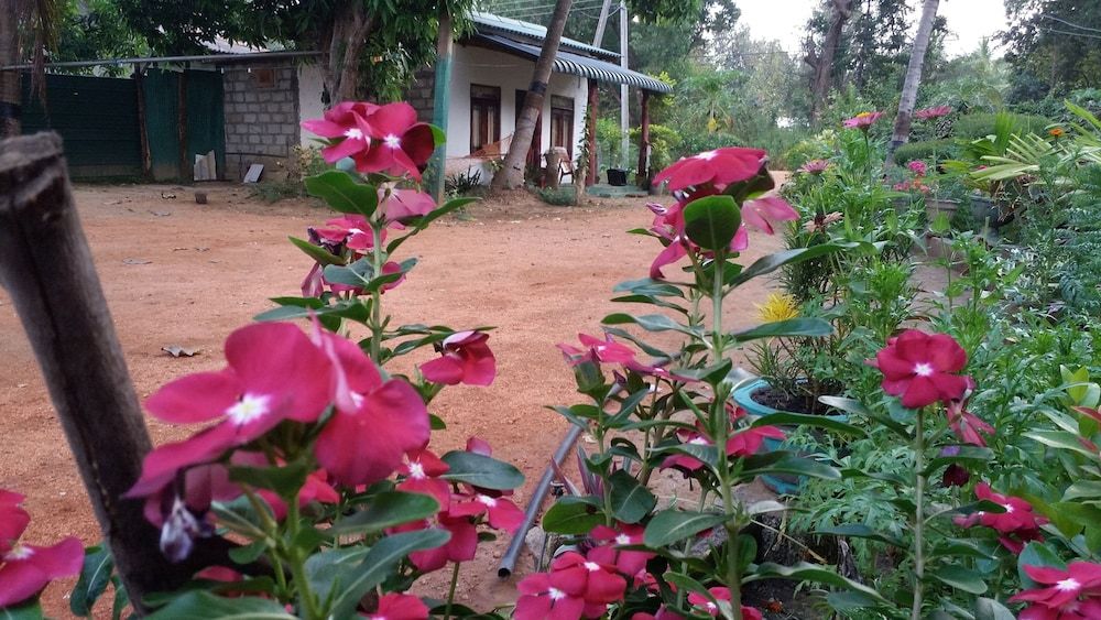 undefined sigiriya pikaso homestay 2