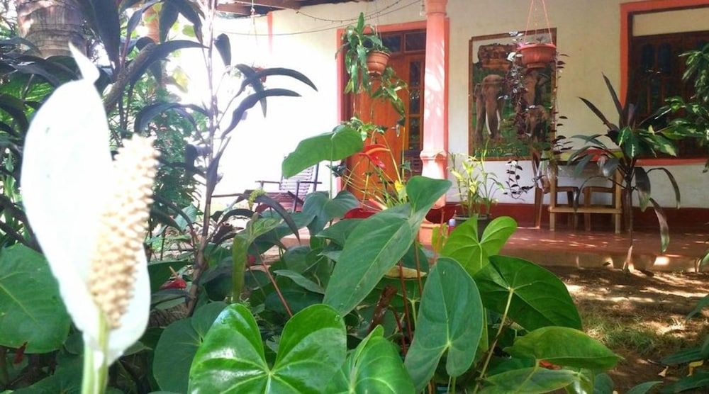undefined sigiriya pikaso homestay 4