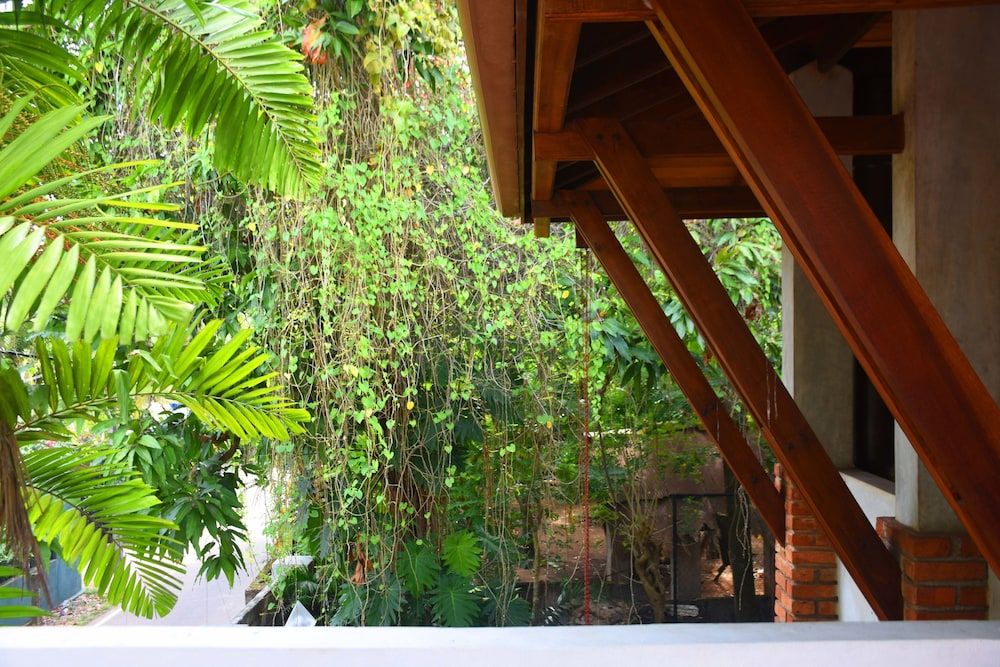 undefined Ceylon Hostel - Colombo Int Airport 3