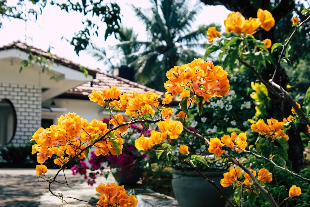 undefined Benjohostel 6