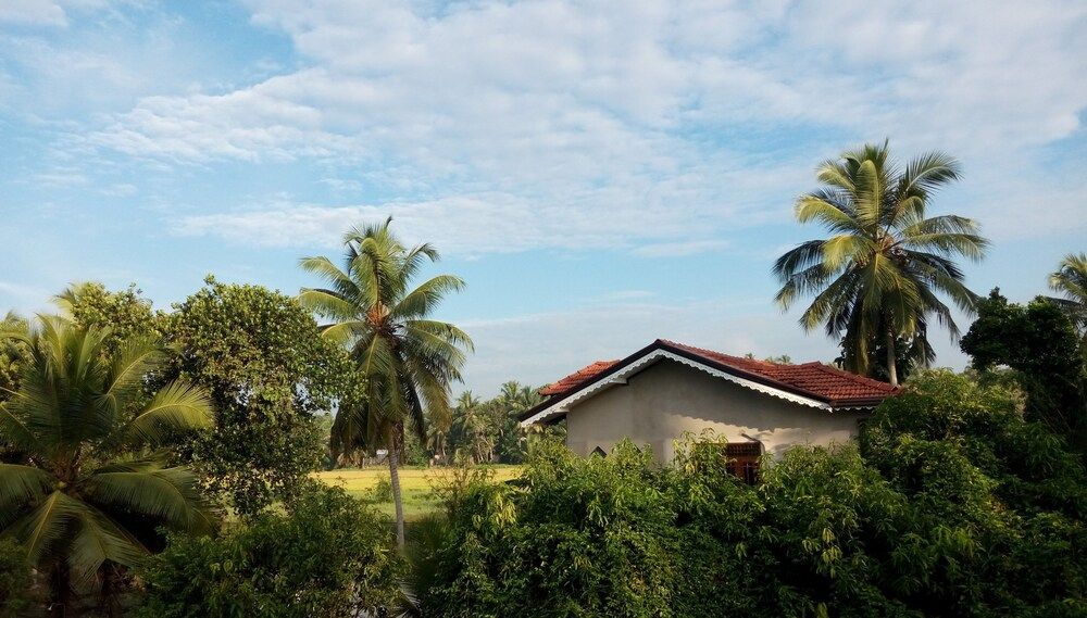 Cacao Standard Shared Dormitory, Men only 5