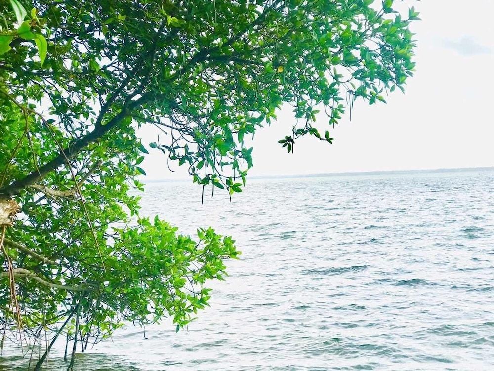 undefined Tramonto Lagoon Resort 9