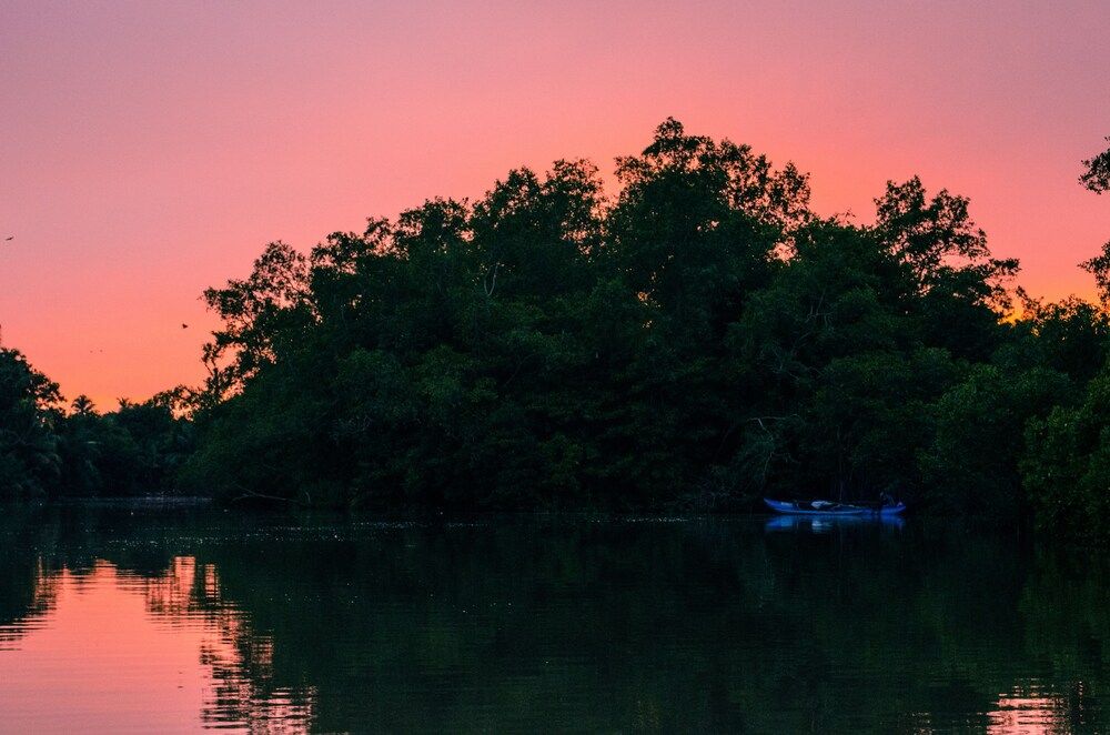 undefined When in Weligama 5