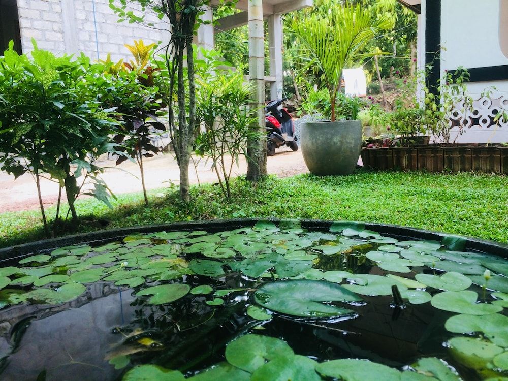 Nature Rex - Hostel Double Room, Accessible, Garden View 9