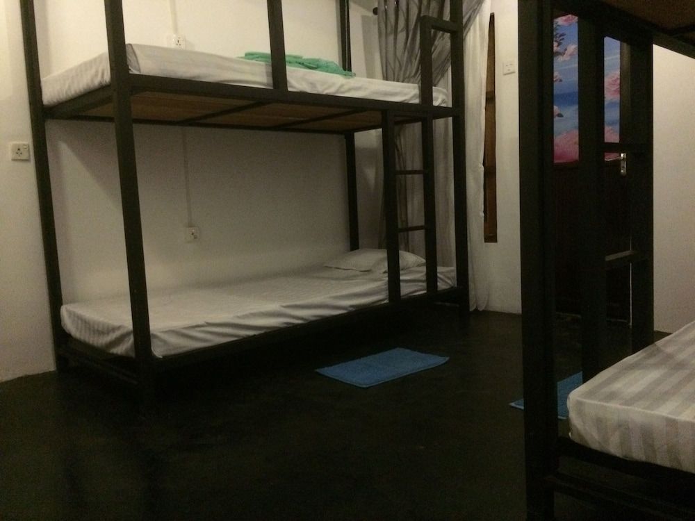 undefined Nature Rex - Hostel 6