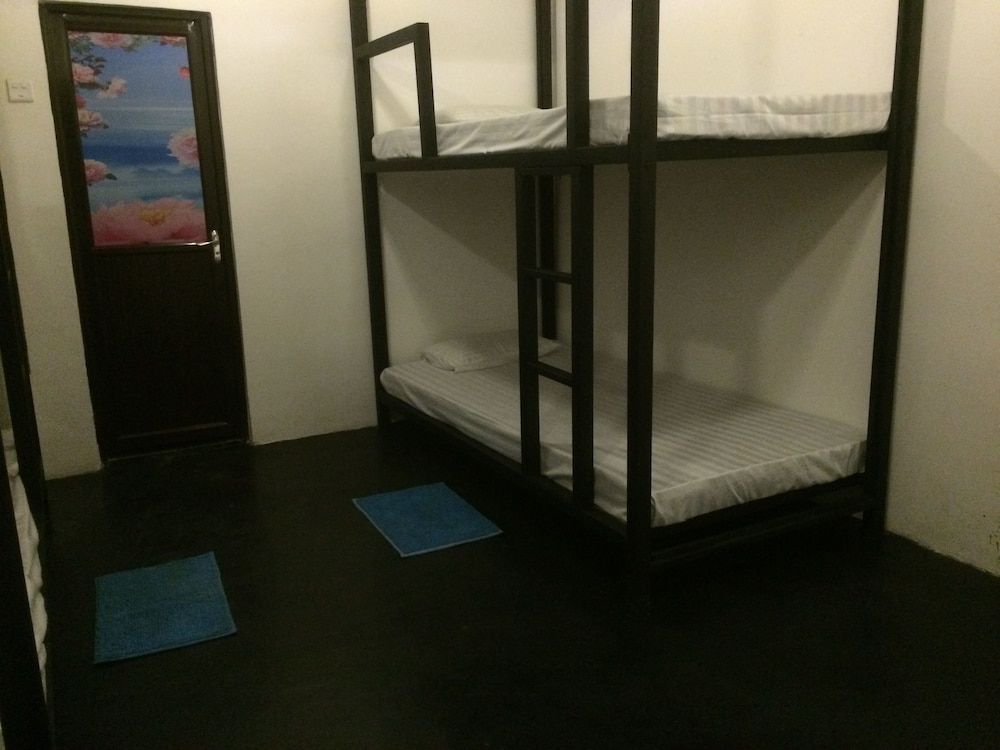 undefined Nature Rex - Hostel 4