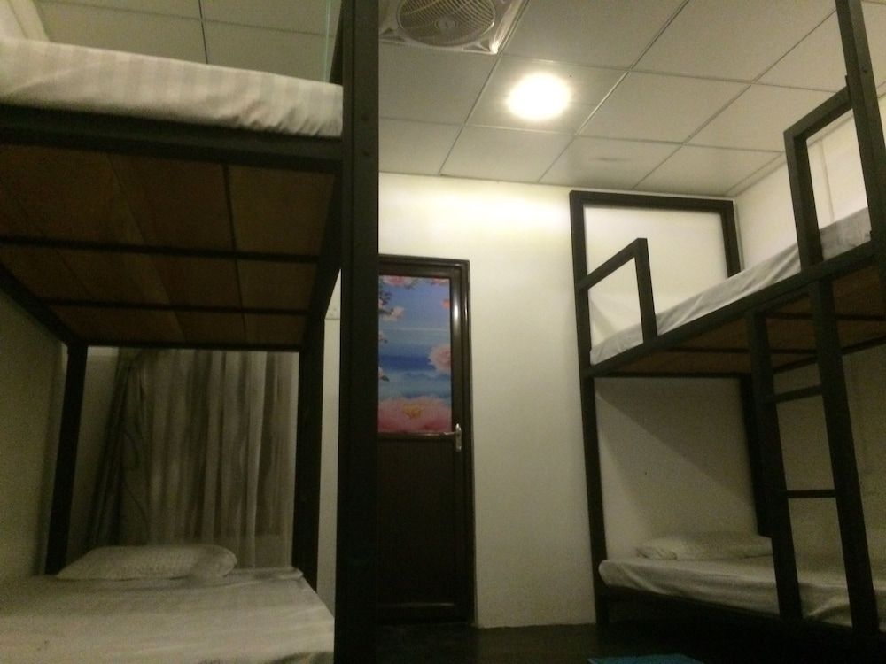 undefined Nature Rex - Hostel 5