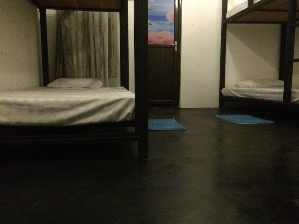 undefined Nature Rex - Hostel