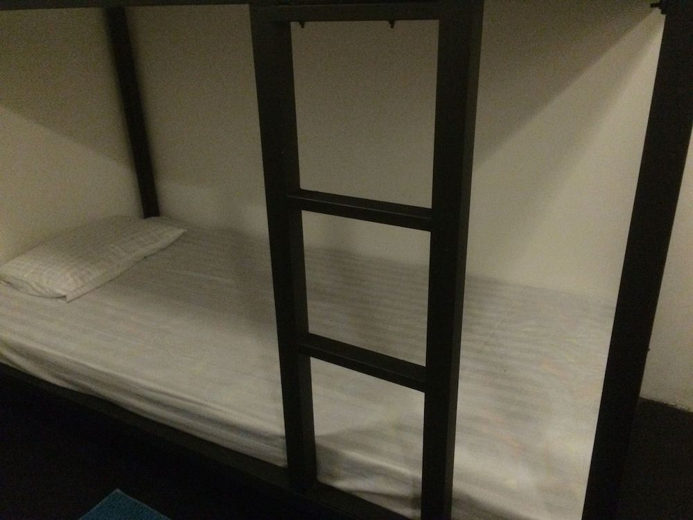 undefined Nature Rex - Hostel 7