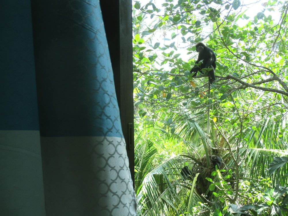 Summer Breeze Weligama Double Room, Private Bathroom 6