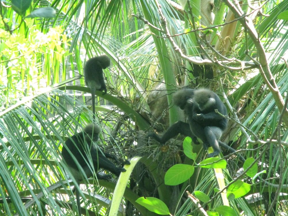 Summer Breeze Weligama Double Room, Private Bathroom 7