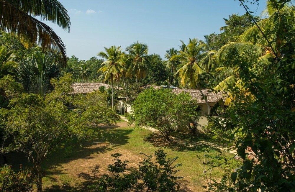 Modern Luxury 03 Bedroom Villa Villa 17