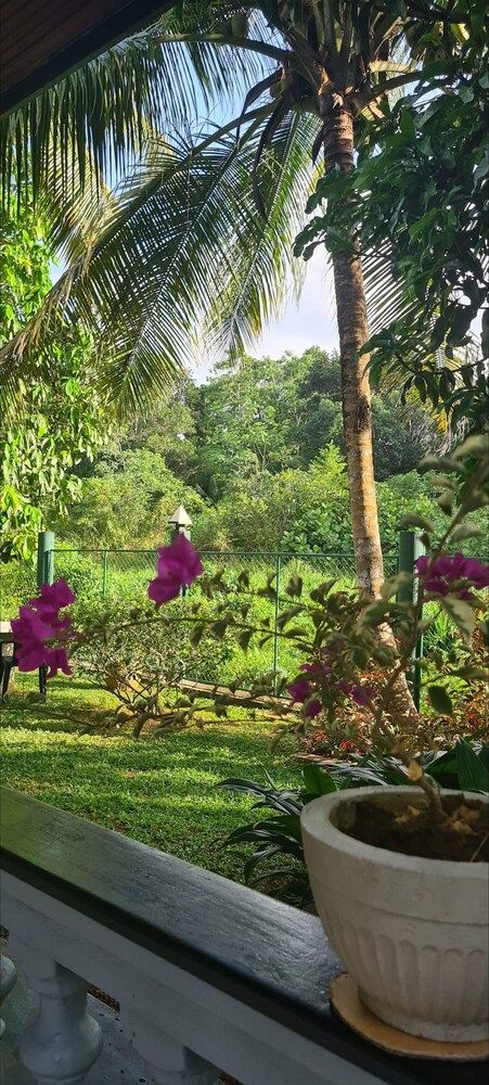 Suma Villa 240 Bentara Uragaha Elpitiya Rd Bentota 1 Room, 1 Bedroom, Accessible, Patio 29