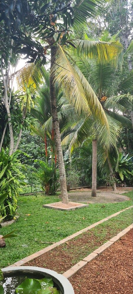 Suma Villa 240 Bentara Uragaha Elpitiya Rd Bentota 1 Room, 1 Bedroom, Accessible, Patio 31