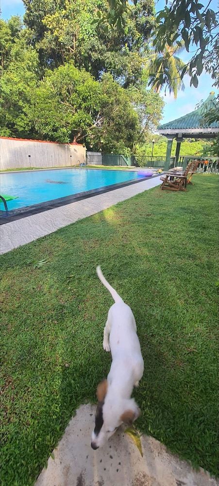 undefined Suma Villa 240 Bentara Uragaha Elpitiya Rd Bentota 3