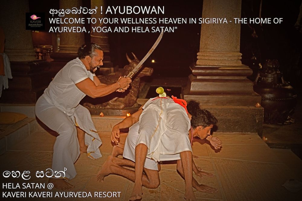 undefined Kaveri Ayurveda Resort 9