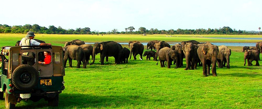 undefined Stream View Family Resort 7