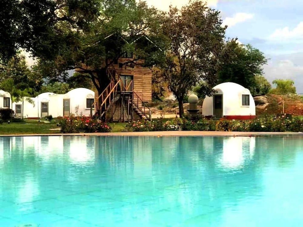 undefined The Lion Kingdom Sigiriya 10