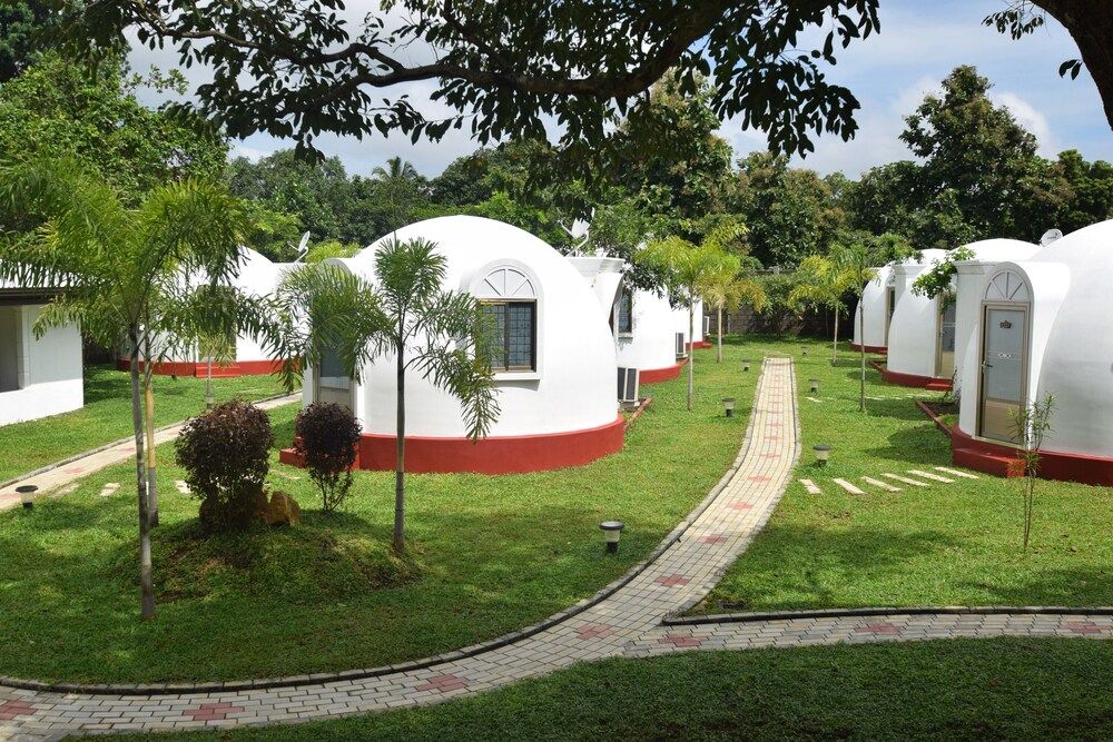 undefined The Lion Kingdom Sigiriya 3