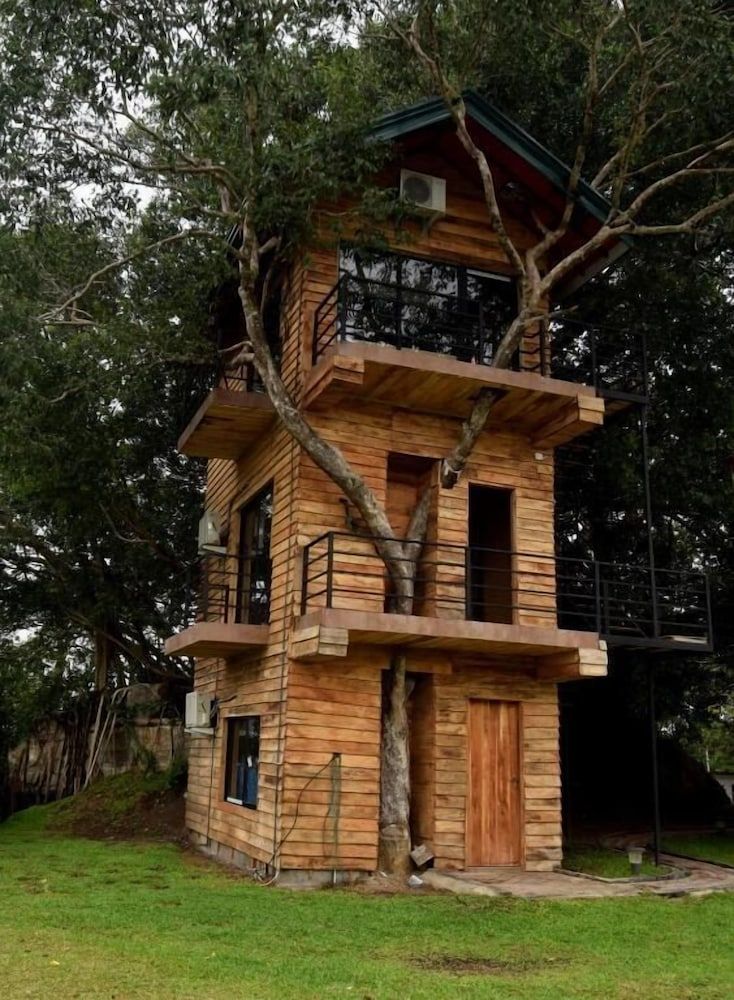 undefined The Lion Kingdom Sigiriya 6