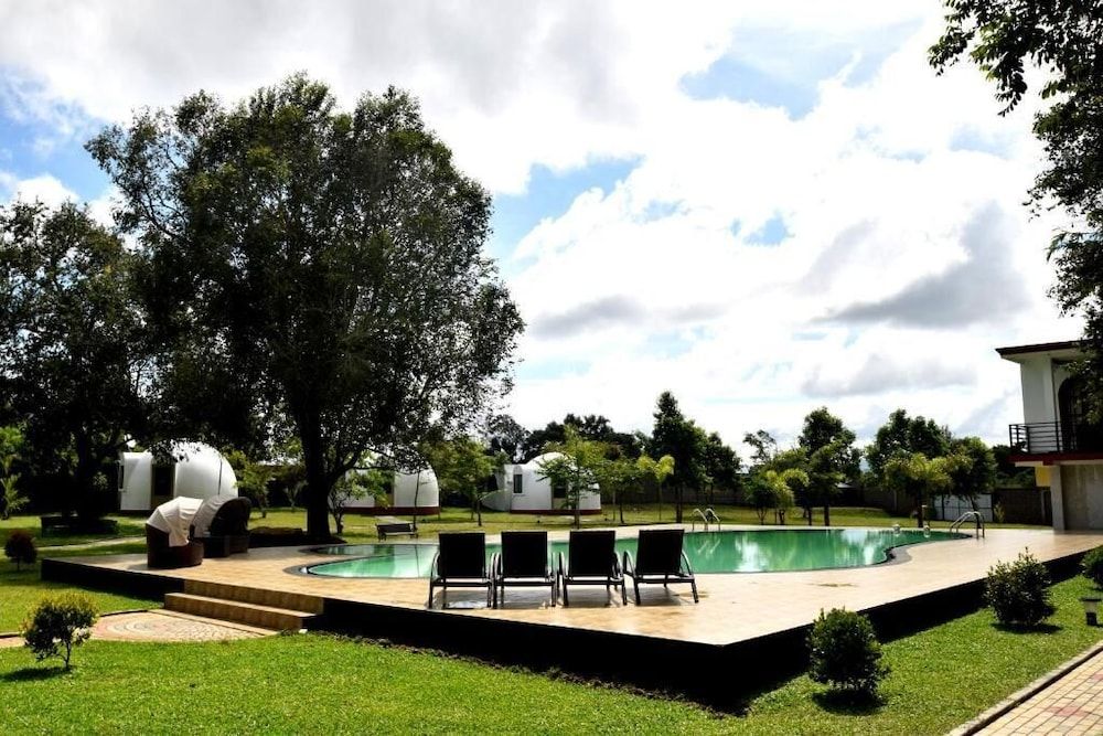 undefined The Lion Kingdom Sigiriya 9