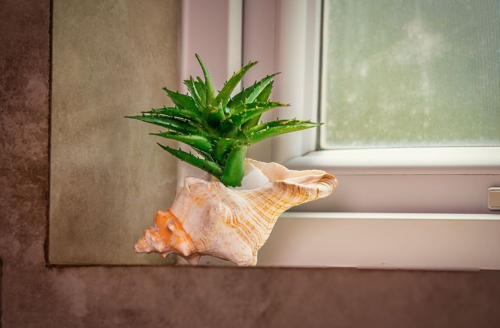 The Palace by Ocean Junior Room 4