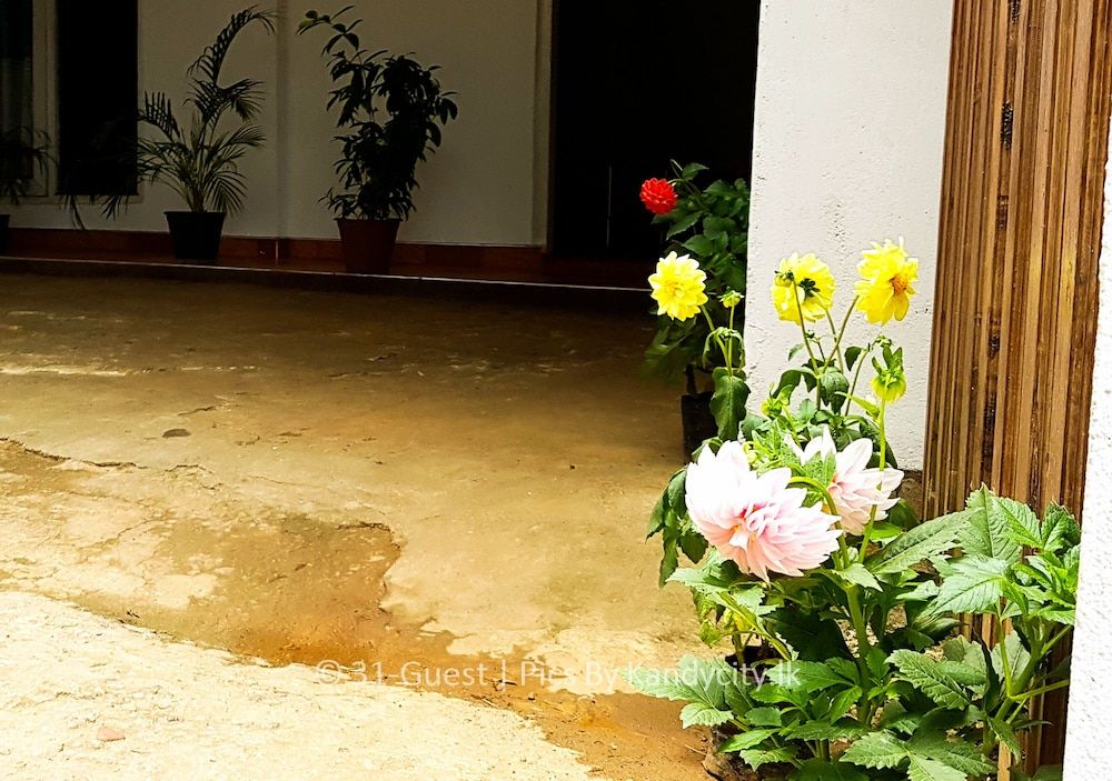 undefined 31 Kandy Guest House 5