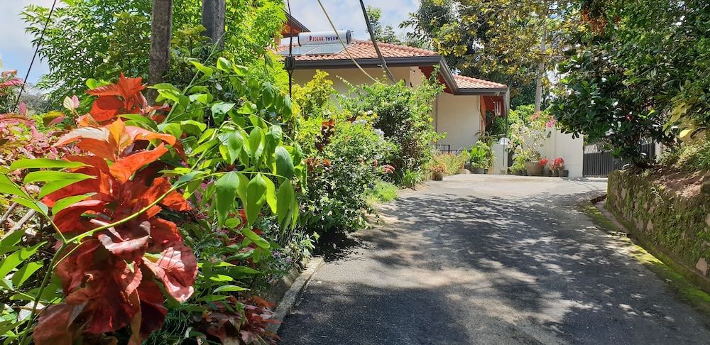 Land View from Property