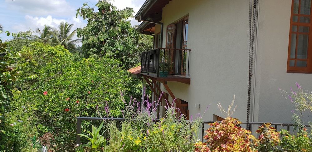 undefined Windy Ridge Kandy 2