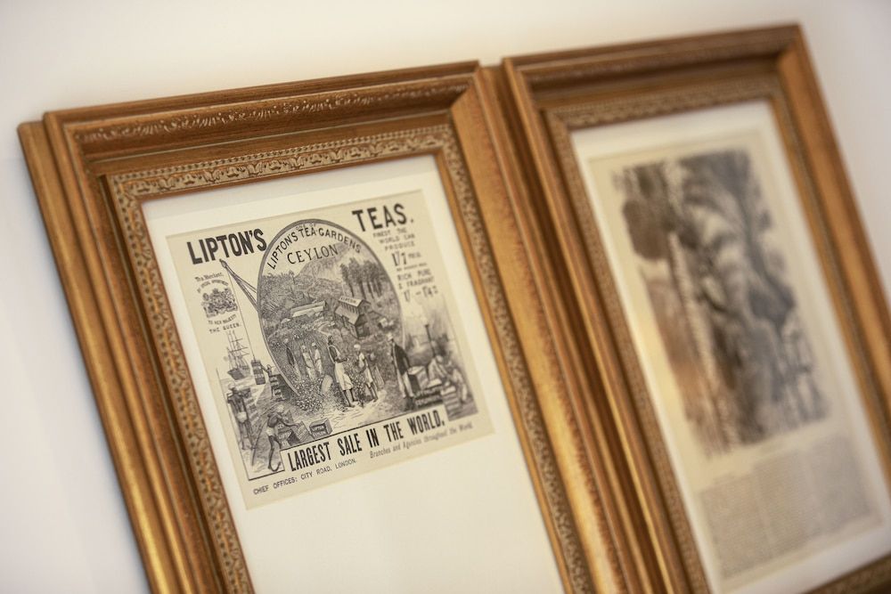 W15 Hanthana Estate Kandy Studio Suite 2