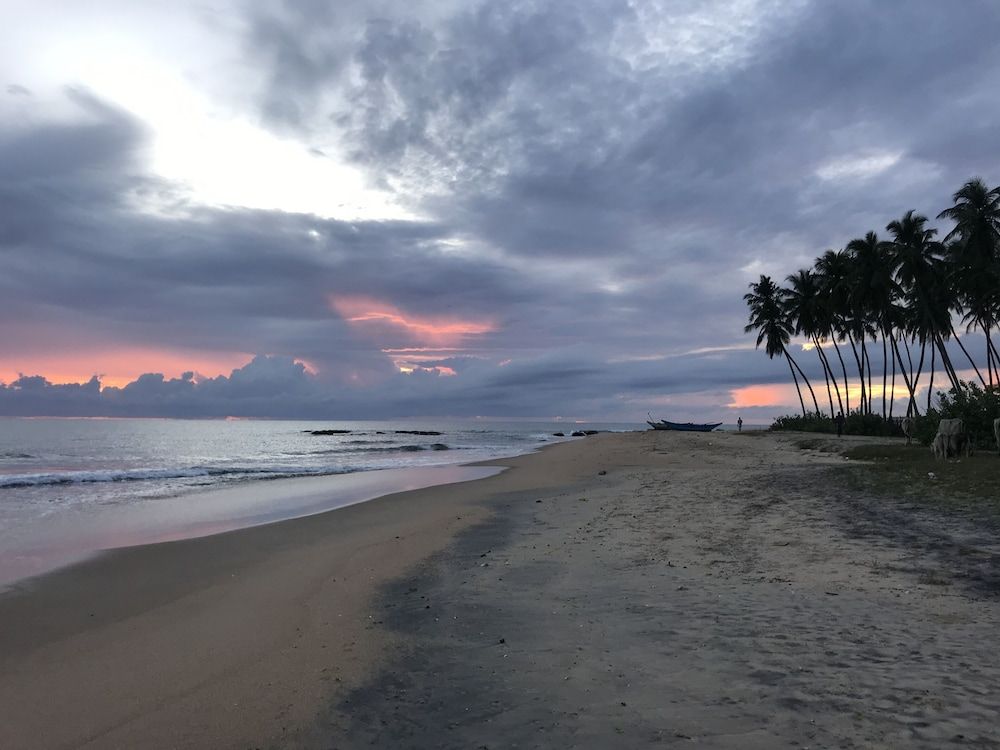 Blue Waters Arugambay ECO LUXURY BEACHFRONT DOUBLE CABANA 10
