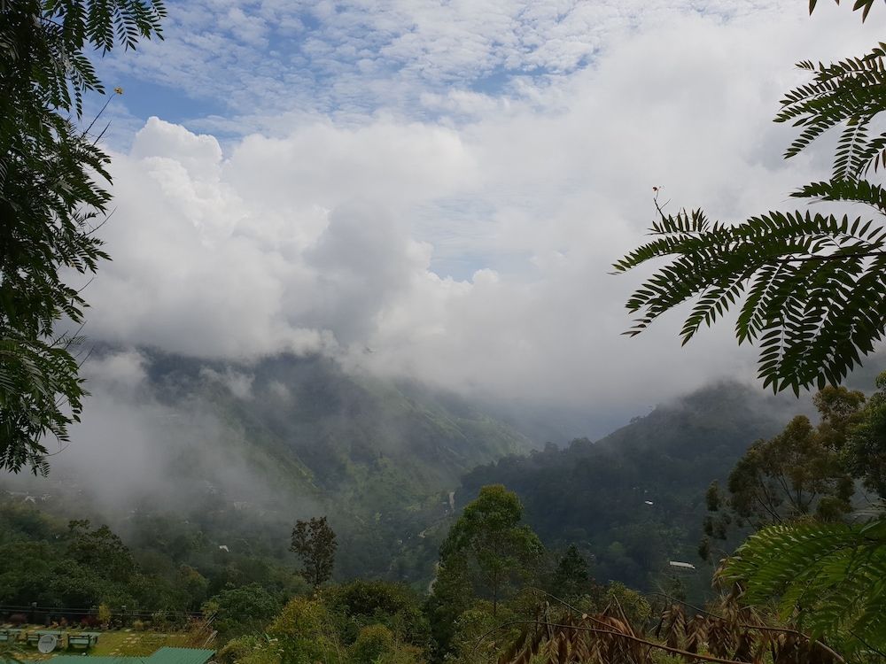 Adannz view Deluxe Suite, Mountain View 5