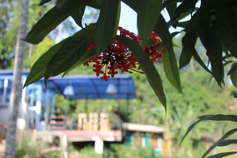 undefined Hi Lanka Backpackers - Adults Only 2