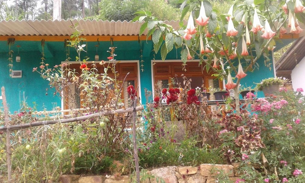 undefined Nature's Rest 3