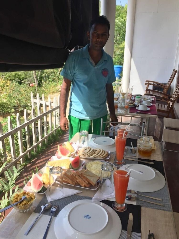 undefined Zircon Ella 10