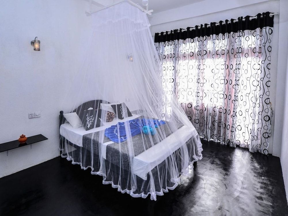 undefined Zircon Ella 4