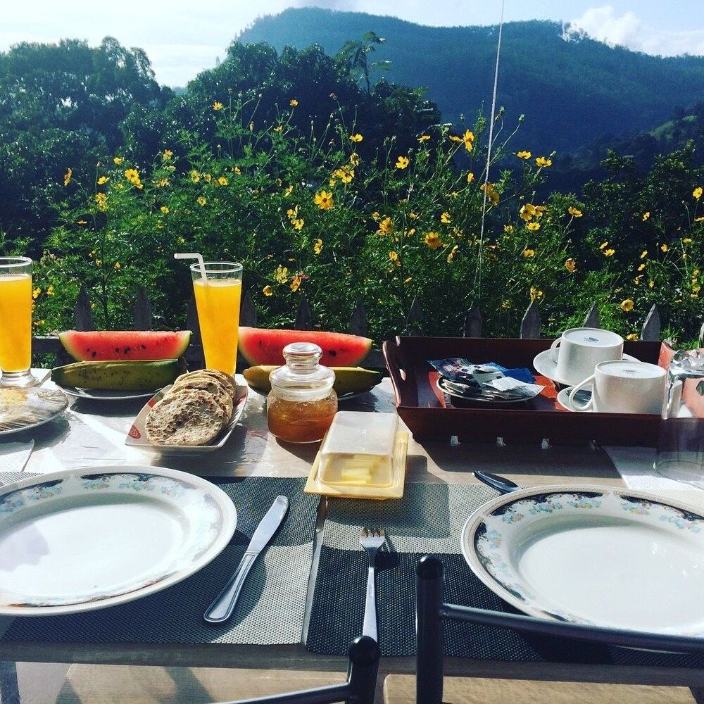 undefined Zircon Ella 9