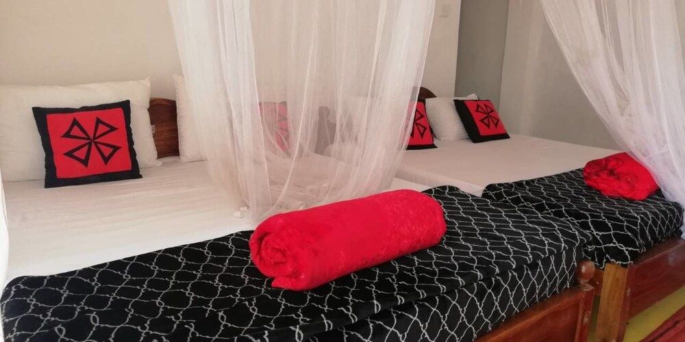 undefined Ella Forest Eco View 2