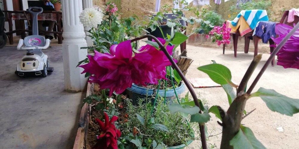 undefined Ella Forest Eco View 7