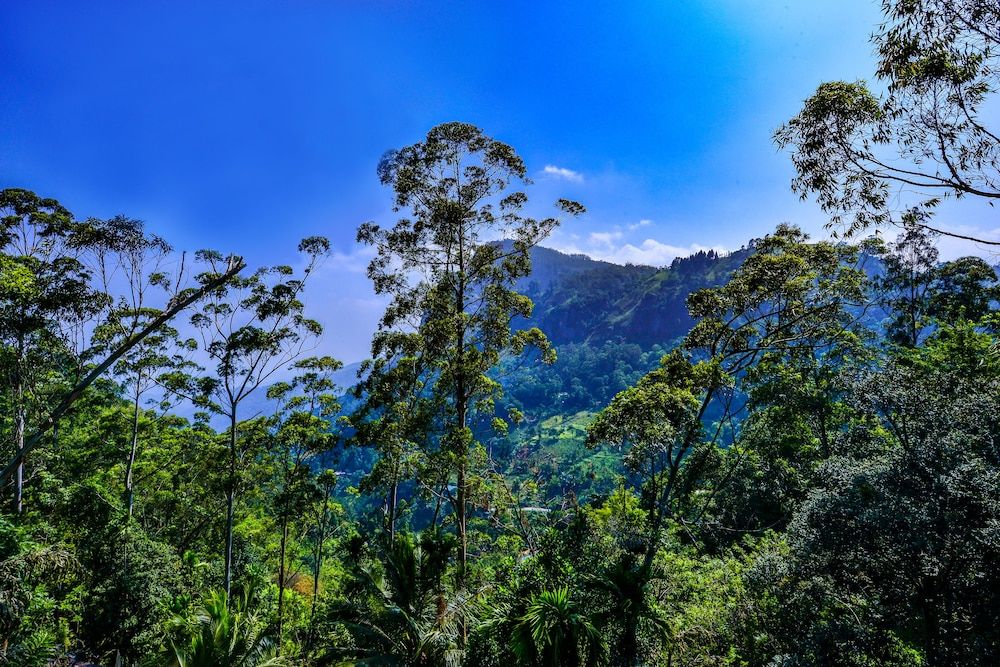 undefined Ella View Hotel 10