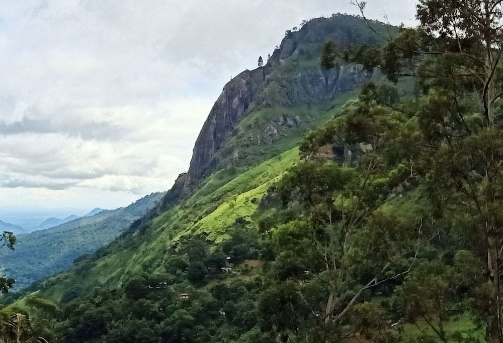 Ella View Hotel Superior Triple Room 6