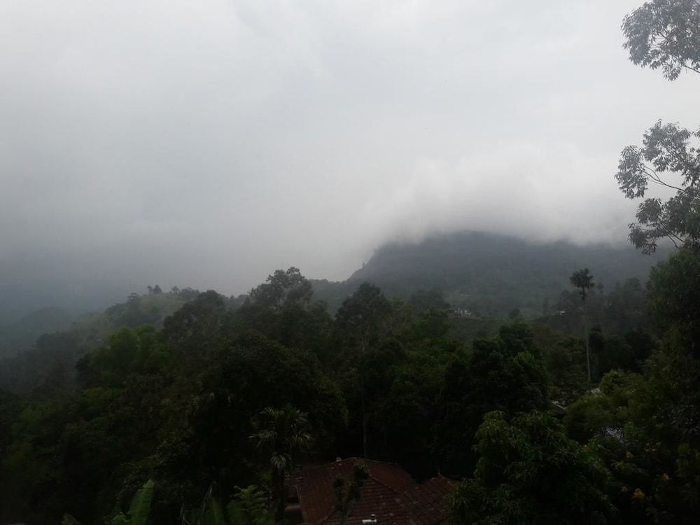 undefined The Onex Paradise Ella 3