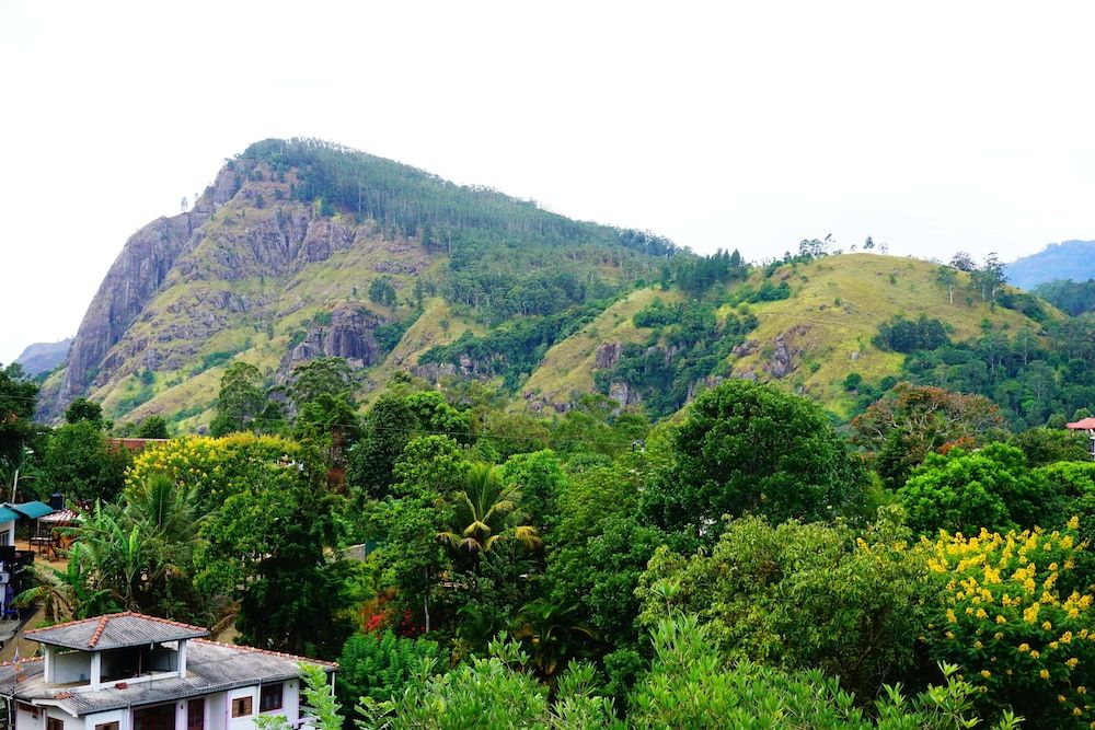 undefined Hotel Sun Breeze 3