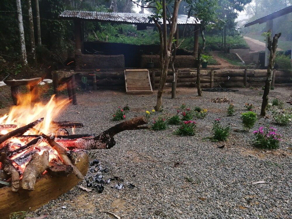 undefined Foret De Vill - Hostel