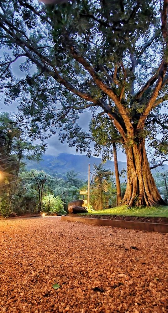 undefined Area 4 eco cubes 3