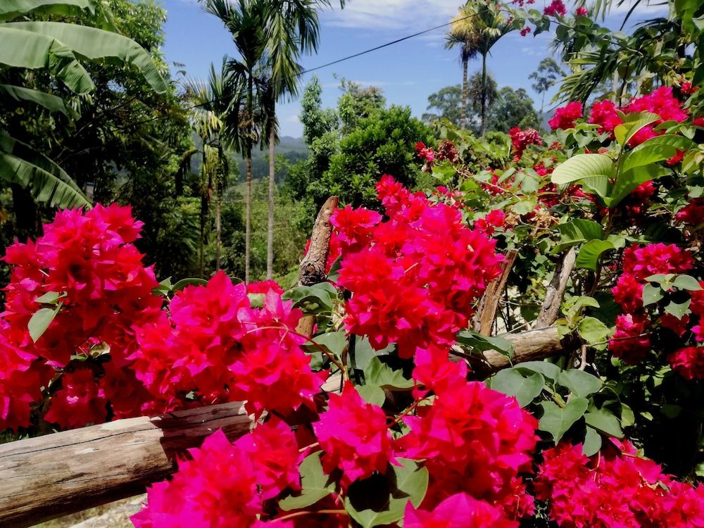 The Kanro Ella Deluxe Triple Room 9