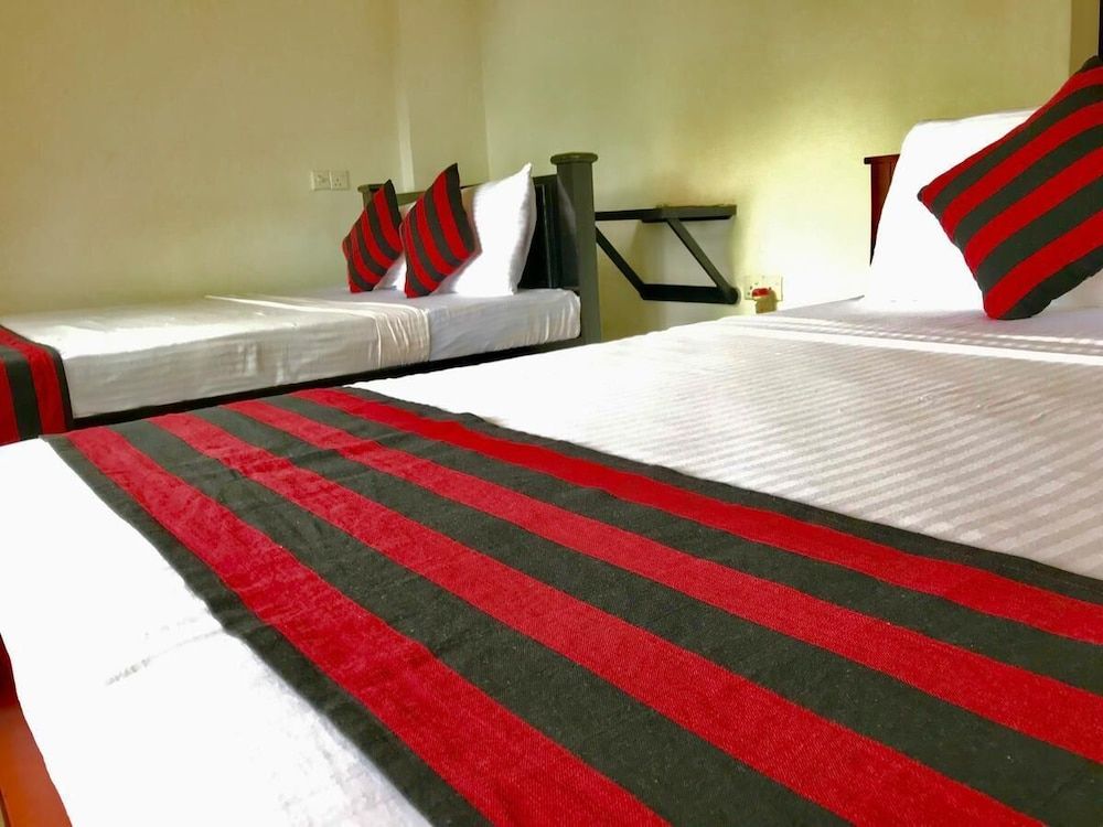 undefined Shades Ella 3