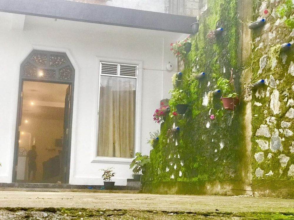 undefined Shades Ella