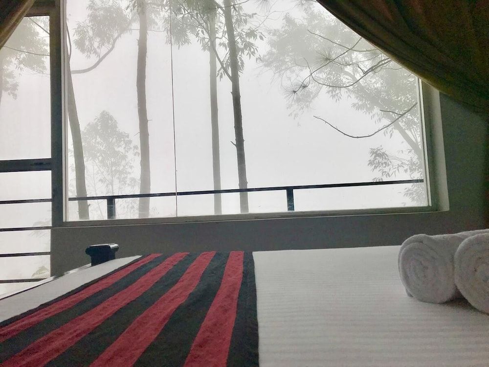 undefined Shades Ella 5